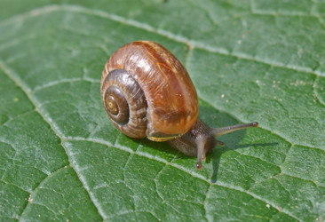 Similar image 1272618