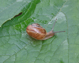 Similar image 1272619