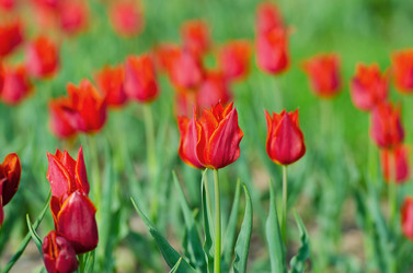 Similar image 1272651