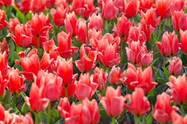 Similar image 1272710