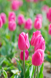 Similar image 1272768