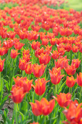 Similar image 1272770