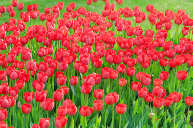 Similar image 1272787