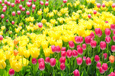 Similar image 1272788