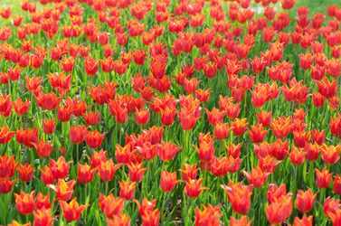 Similar image 1272828