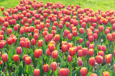 Similar image 1272848