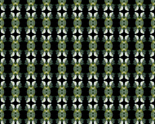 Similar image 1273028