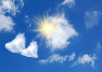 Similar image 1273036