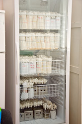 Similar image 1273065