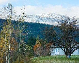 Similar image 1273069