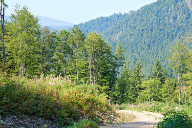 Similar image 1273072