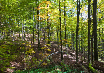 Similar image 1273078