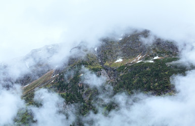 Similar image 1273084