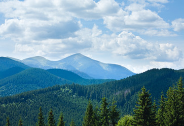 Similar image 1273090