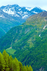 Similar image 1273098