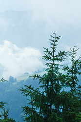 Similar image 1273100