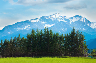 Similar image 1273102