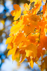 Similar image 1273104