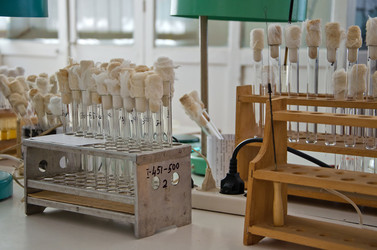 Similar image 1273113