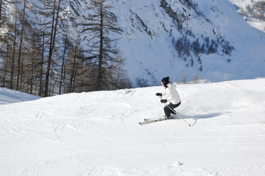 Similar image 1273257