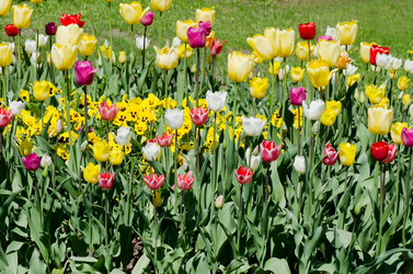 Similar image 1273537