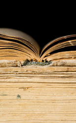 Similar image 1273730