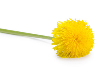 Similar image 1273789