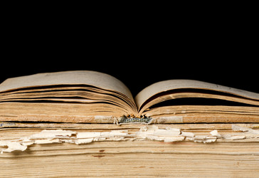 Similar image 1273817