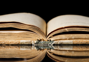 Similar image 1273818