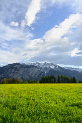 Similar image 1273855