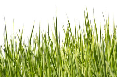 Similar image 1273913