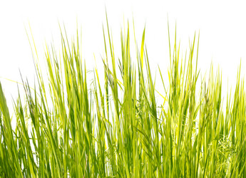 Similar image 1273914