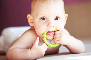 Similar image 1273986