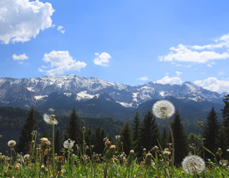 Similar image 1274421