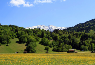 Similar image 1274422