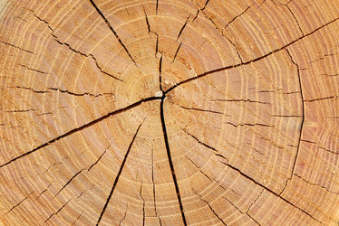 Similar image 1274948