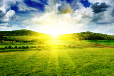 Similar image 1274958