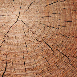 Similar image 1274969