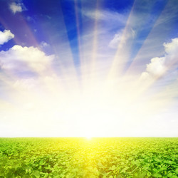 Similar image 1274993