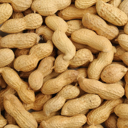 Similar image 1274994