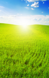 Similar image 1274995