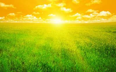 Similar image 1275360