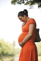 Similar image 1275737