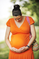 Similar image 1275797