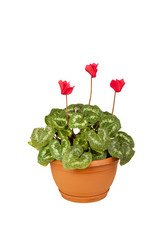 Similar image 1276079