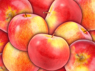 Similar image 1276091