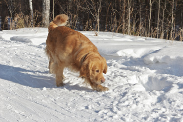 Similar image 1276123