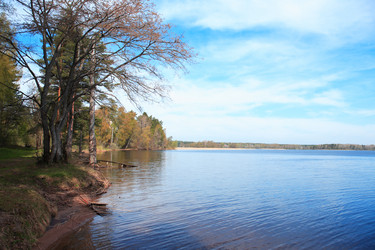 Similar image 1276331