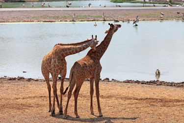 Similar image 1276509