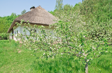 Similar image 1276943